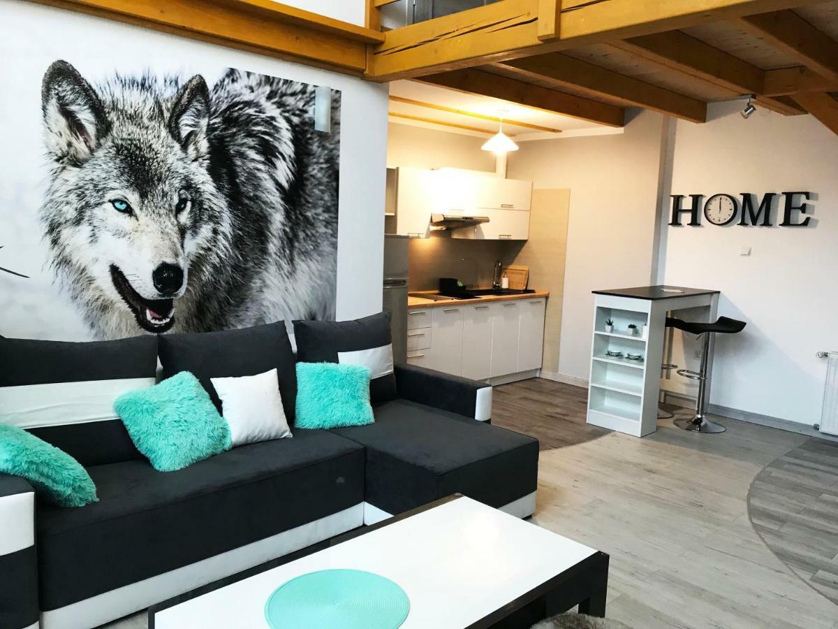 Apartment Centrum Rajcza